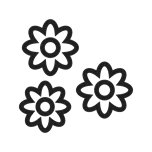 손상된 피부와 세포 활성화